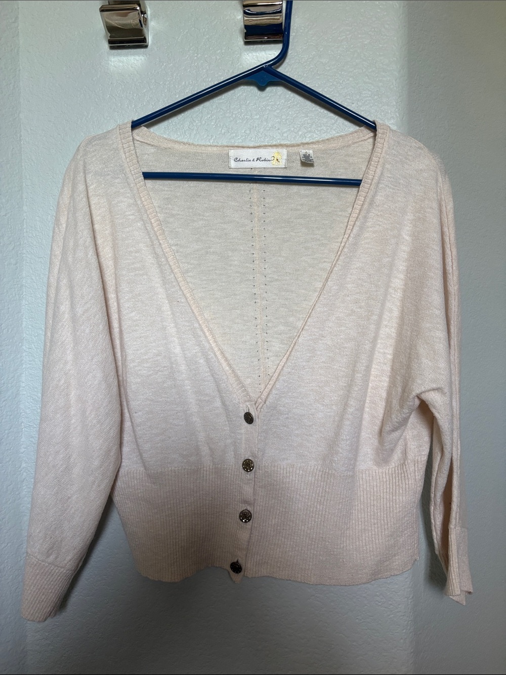 Charles & Keith Soft Pale Cream V-Neck Button Cardigan